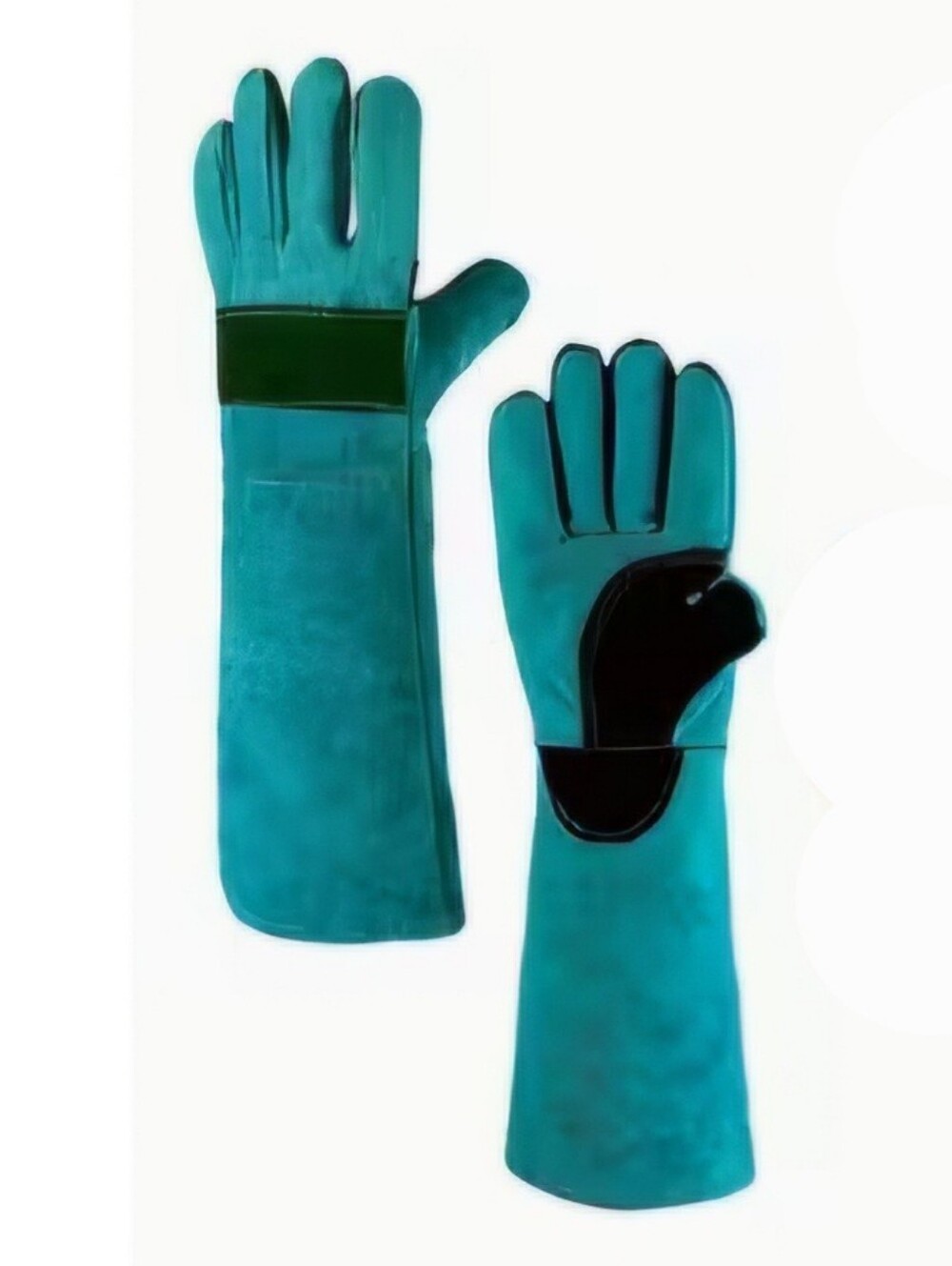 Bite-Resistant Cowhide Leather Gloves In Teal